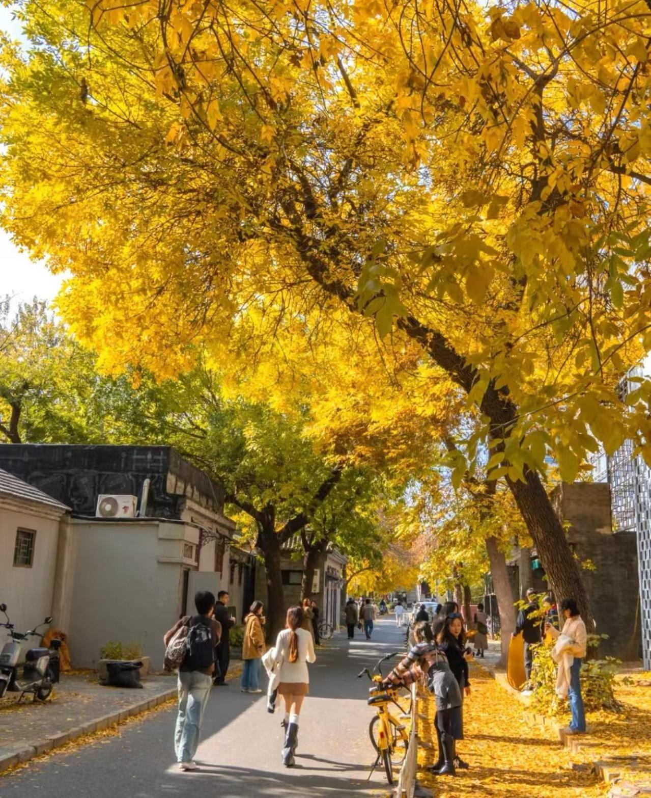 Nostalgia Hotel Beijing Guozijian Ghost Street - Near Beijing Lama Temple, Beihai Park, Jingshan Park, Drum Tower, Houhai Bar Street, Tian'Anmen Square, Located In Beijing Traditional Hutongs, 5 Minutes Away From Beixinqiao Metro Station Dış mekan fotoğraf